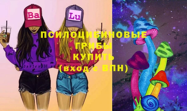 мдпв Беломорск