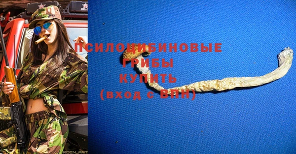мдпв Беломорск