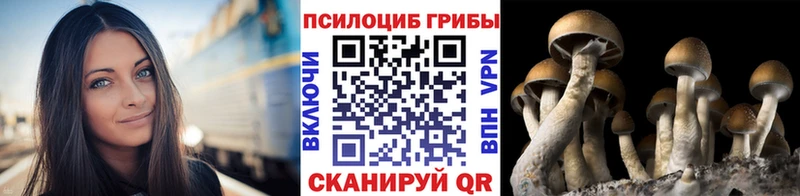 блэк спрут зеркало  Горячий Ключ  Псилоцибиновые грибы Magic Shrooms 
