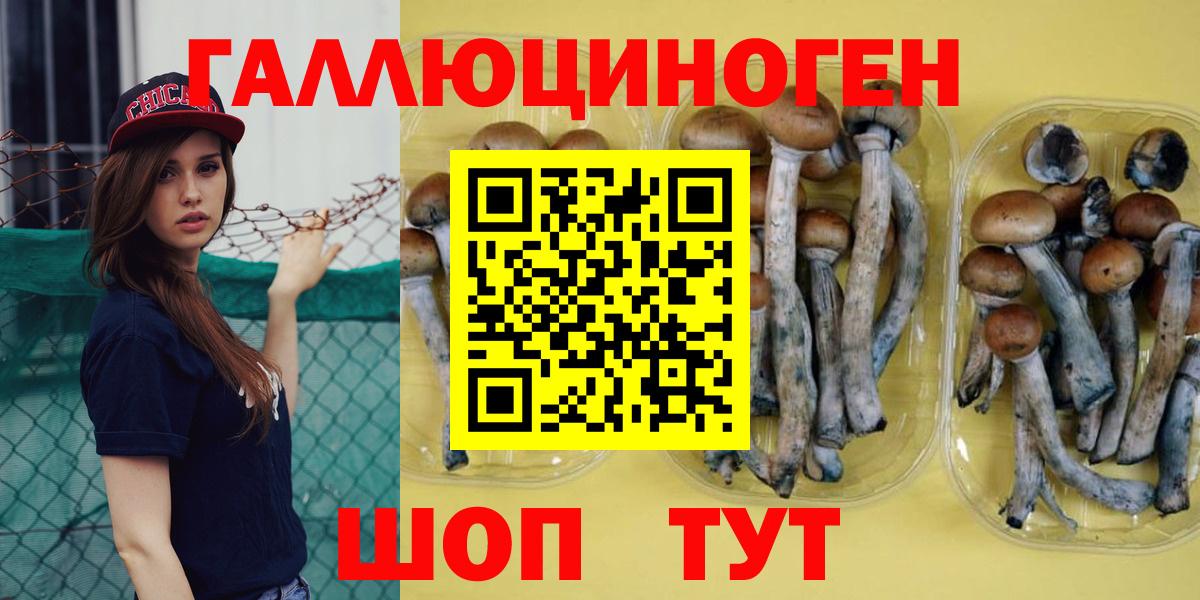 Горячий Ключ  Галлюциногенные грибы прущие грибы  Вход с VPN 